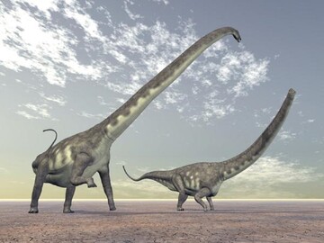 کشف حیرت‌انگیز استخوان‌های یک دایناسور عظیم‌الجثه در حیاط یک ملک شخصی/ تصاویر