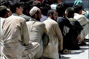 مدیرکل امور اتباع فارس:دارندگان کارت آمایش مرحله ۱۹ برای به‌روزرسانی کارت خود اقدام کنند