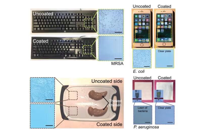 نابودی تمام ویروسها و باکتریها با عصاره چای و دارچین