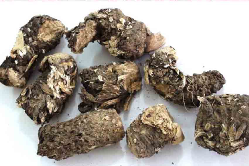 درمان ریزش مو در مدت ۴۰ روز