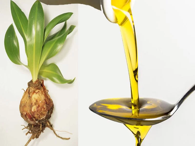 درمان ریزش مو در مدت ۴۰ روز  