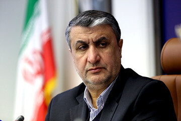 رئيس منظمة الطاقة الذرية إيران تعمل وفقًا لمعايير الوكالة الدولية والضمانات