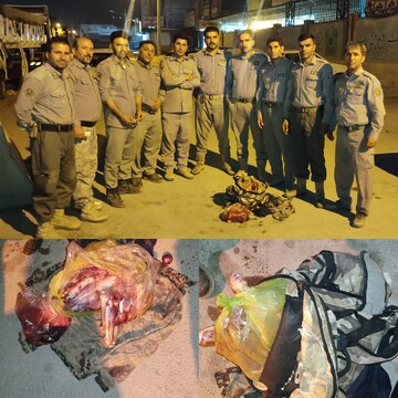 شکارچیان یک رأس بز وحشی در خرم‌آباد دستگیر شدند