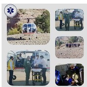 حمله خرس به  مرد ۵۷ساله در ارتفاعات زردکوه