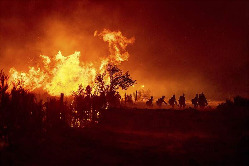 ببینید | آتش‌سوزی در کالیفرنیا؛ تخلیه خانه‌ها و جنگل‌هایی که خاکستر شد