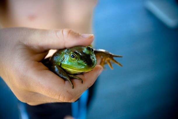 ۵ چیز عجیبی که در شکم مردم پیدا شده است/ عکس