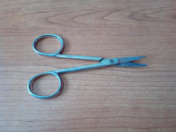 ۵ چیز عجیبی که در شکم مردم پیدا شده است/ عکس