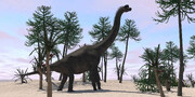 عکس | کشف شگفت انگیز در حیاط پشتی خانه لیسبون: این بزرگترین دایناسور اروپاست!