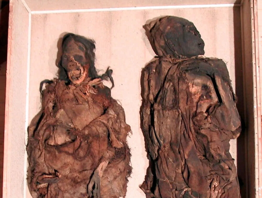 رمزگشایی از قتل فجیع 3 مومیایی‌ هزار ساله