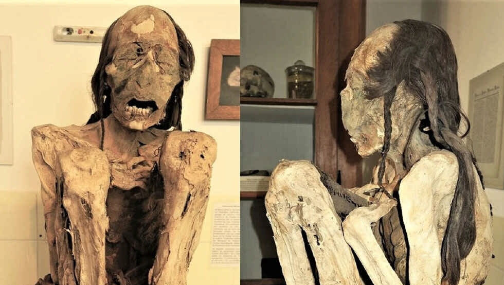 عکس l سیتیاسکن قتل دلخراش مومیاییهای آمریکای جنوبی را به تصویر کشید