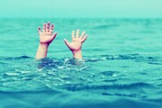 مرگ ۳ کودک تاکستانی در استخر آب دامداری