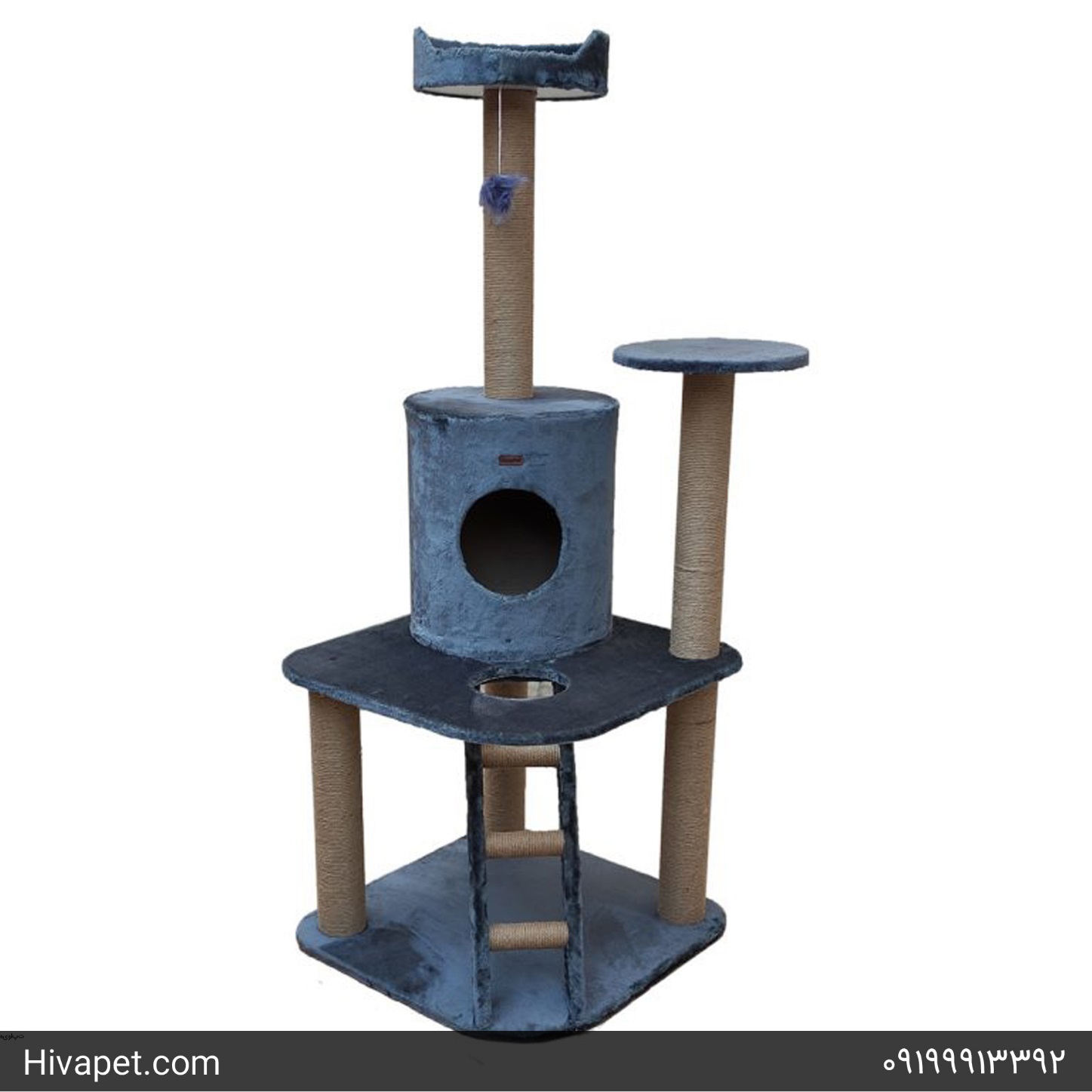 این اسکچرهای زیبا را برای حیوان خانگی تان بخرید!