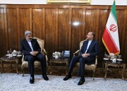 مندوب إيران الدائم في جنيف يلتقي أمير عبداللهيان