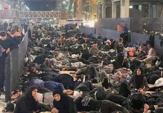 اعتراف رئیس سازمان حج و زیارت به «اشتباه راهبردی» چالش زا در مدیریت راهپیمایی اربعین