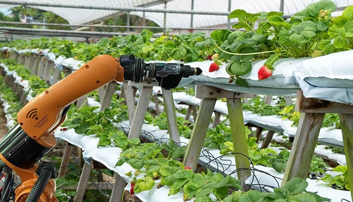 کشاورزی ایران در کما!/ سموم مرگباری که وارد محصولات کشاروزی میشود/ روزگاری ایران ۷۰ هزار آبادی داشت!