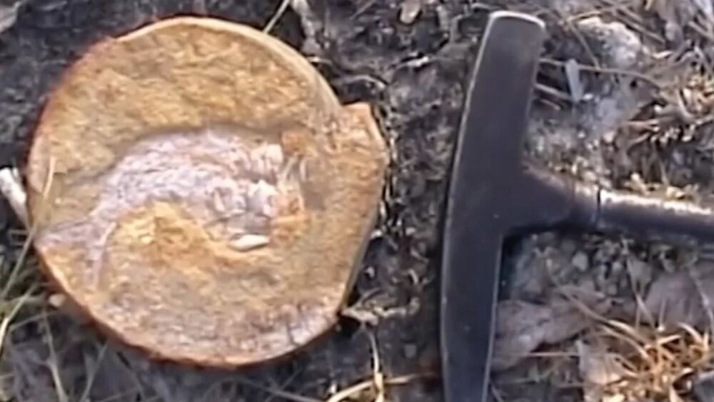 کشف قدیمیترین قلب جهان در استرالیا / عکس