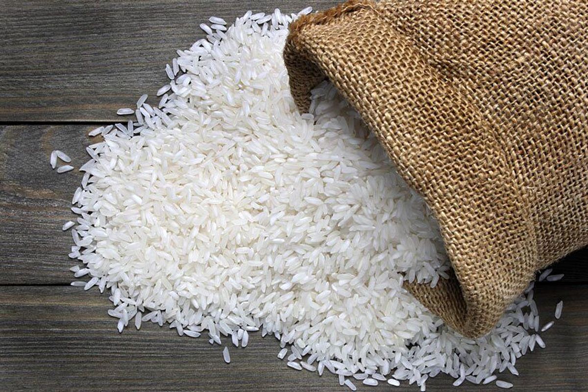قیمت برنج تغییر می کند/ نرخ جدید چه زمانی اعلام می شود؟