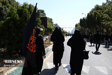 سیل عزاداران حسینی (ع) در روز اربعین