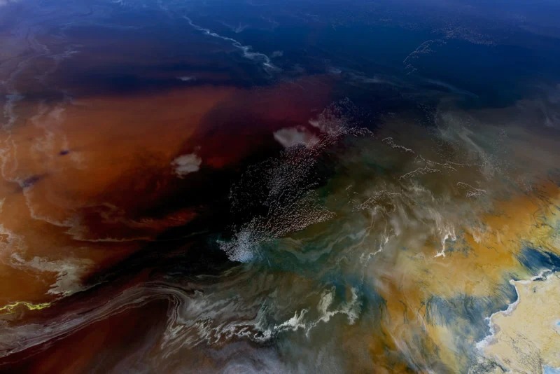 ببینیدl این عکسها برنده مسابقه عکاس پرنده سال ۲۰۲۲ شدند