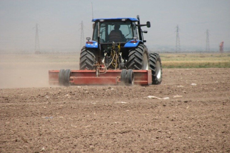 ۱۵۸هزارهکتار از مزارع کشاورزی قزوین به زیرکشت گندم می‌رود