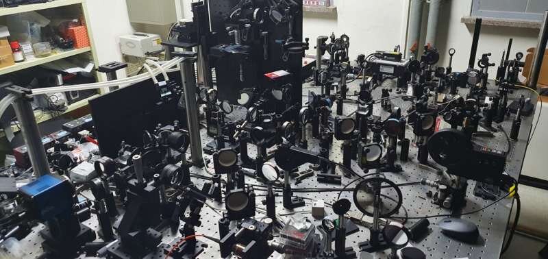 مشاهده درون مغز با میکروسکوپ فوقپیشرفته / عکس