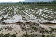 میزان فرسایش خاک در استان کرمان سالانه ۱۷ تن در هکتار است
