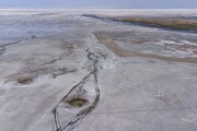 دریاچه ارومیه عمدی خشک شد؟/ پاسخ صریح معاون وزیر صنعت به شایعات