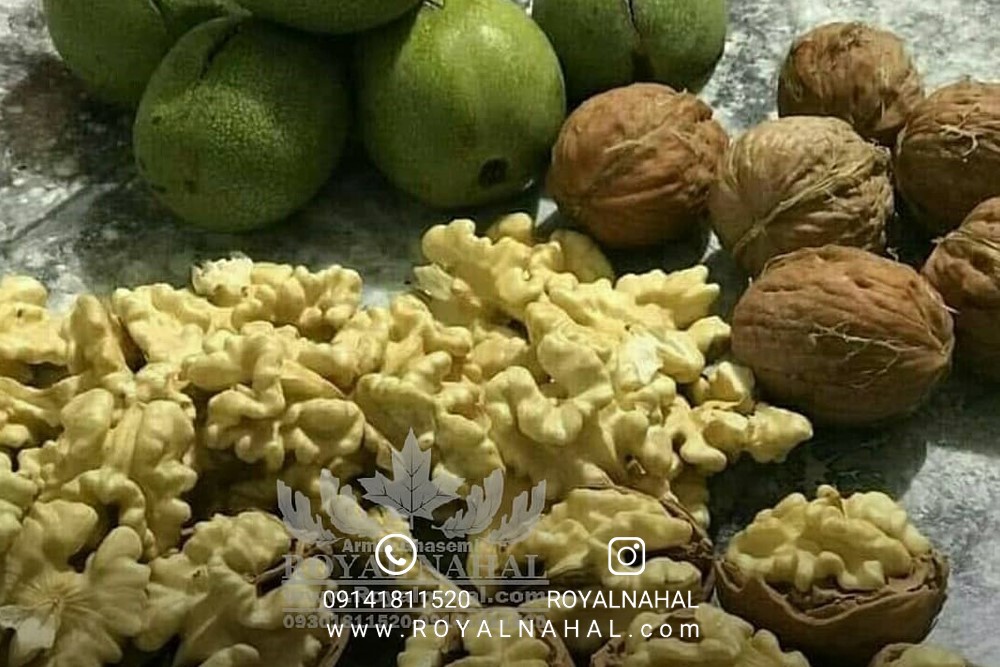 تجارت طلای سبز با کاشت گردو ژنوتیپ رویال تیپ۷