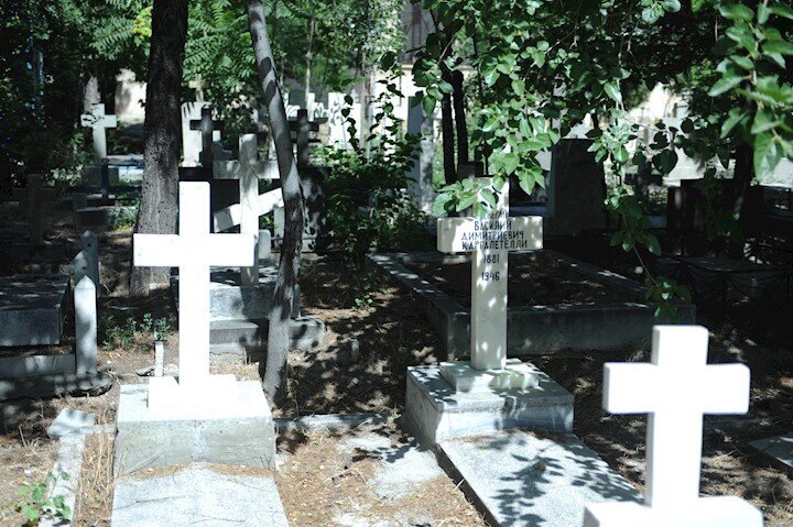 «قبرستان ممنوعه تهران» کجاست و مدیریت آن با چه کسانی است؟ + عکس ها