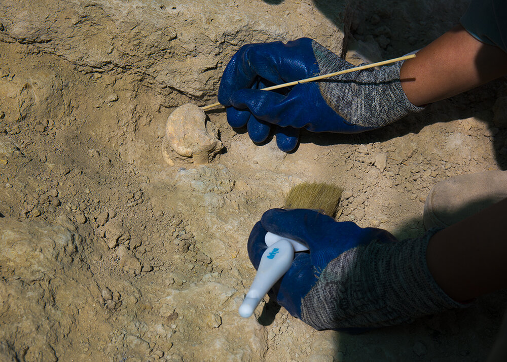 کاوش در تپههای باستانی «سیلک» کاشان به روایت تصویر