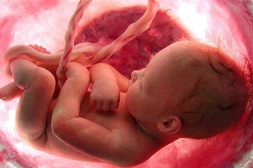 ببینید | تصاویر حیرت‌انگیز از واکنش جنین در رحم مادر به مزه و بو