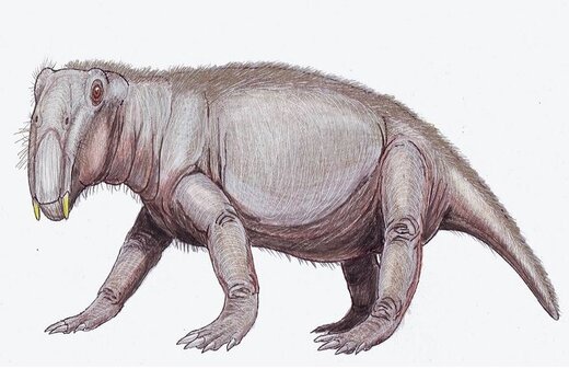 قیافه عجیب و ترسناک خوک دوران دایناسورها / عکس