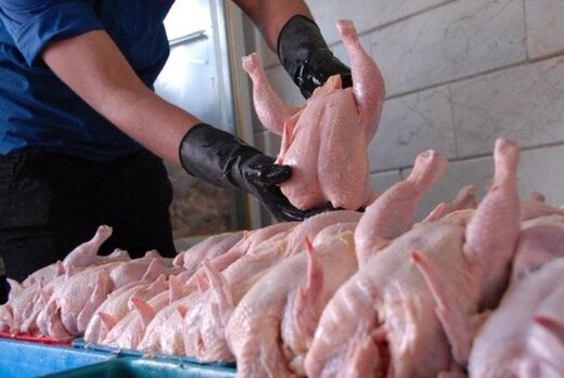 یک‌میلیون و ۲۳۰هزار قطعه مرغ به بازار قزوین عرضه شد