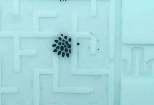 فیلم | عبور باورنکردنی میکروربات فوق‌پیشرفته از سوراخ‌های بسیار کوچک!