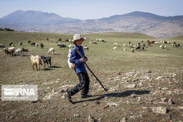 آغاز سال تحصیلی در مدرسه آزادی