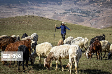 آغاز سال تحصیلی در مدرسه آزادی