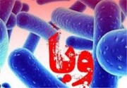 غربالگری ۱۵۰۰ مورد بیماری وبا در استان یزد