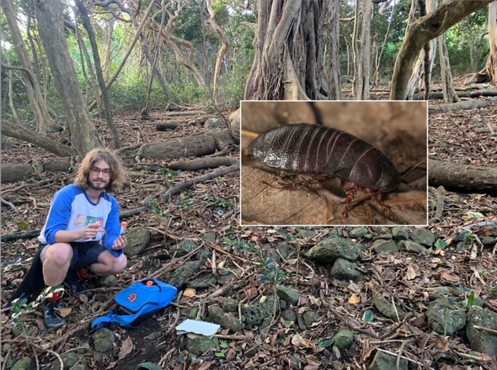 کشف اتفاقی سوسک منقرض شده توسط یک دانشجو!/ عکس
