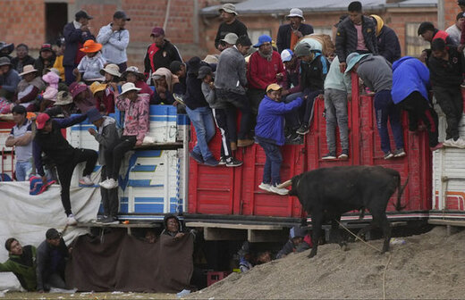 مردم در طول یک جشنواره در روستایی در بولیوی از دست یک گاو وحشی فرار می کنند./ آسوشیتدپرس

