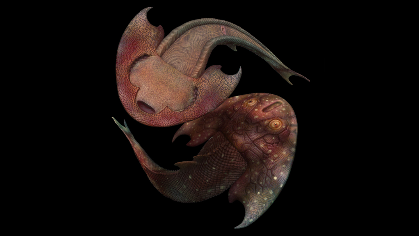 عکس | مهرهداران باستانی چقدر عجیب و غریب بودند؟