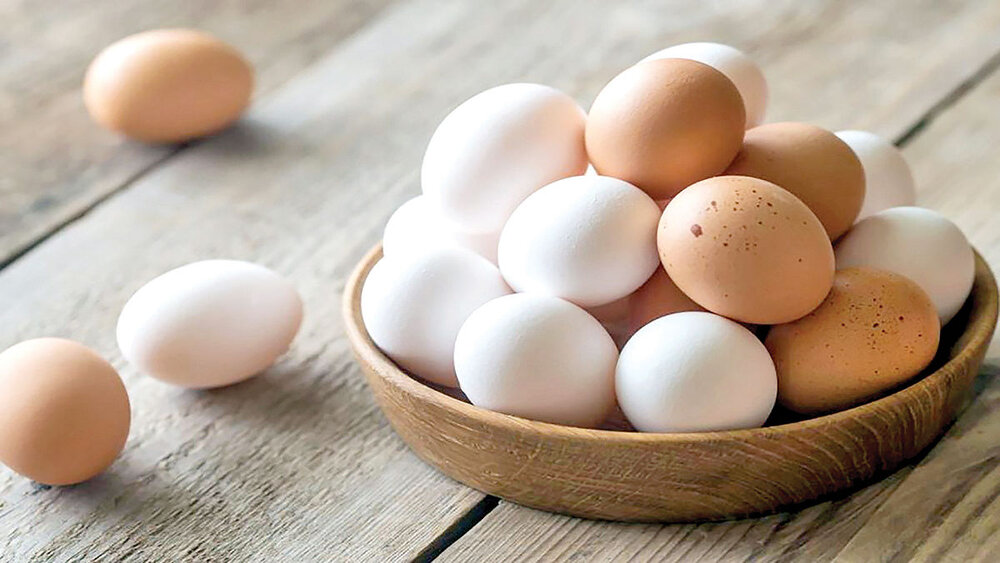تخلف سوپرمارکت‌ها در فروش تخم مرغ / یک شانه تخم مرغ 110 هزار تومان قیمت خورد! 2