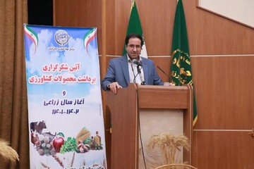 ضرورت اجرای طرح الگوی کشت در مزارع کشاورزی
