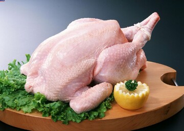 مدیرعامل اتحادیه مرغداران: منتظریم دولت قیمت جدید مرغ را اصلاح و اعلام کند