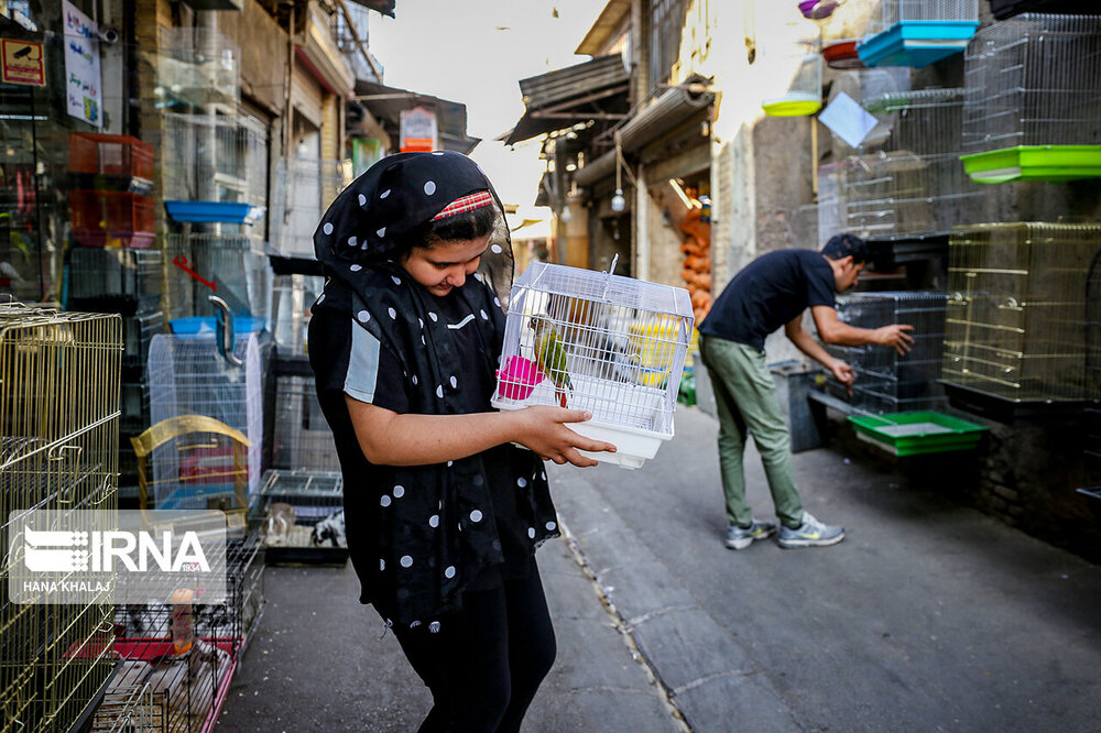 جنجال‌سازی عضو وزارت دفاع روسیه