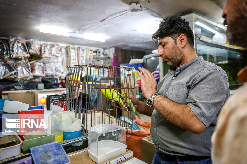 جنجال‌سازی عضو وزارت دفاع روسیه