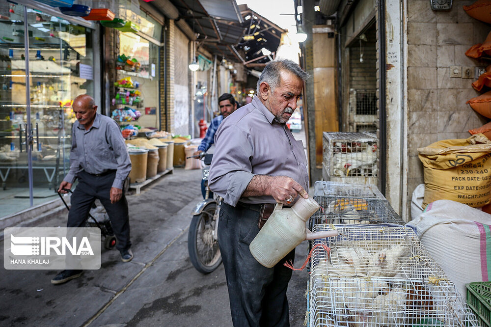 جنجال‌سازی عضو وزارت دفاع روسیه