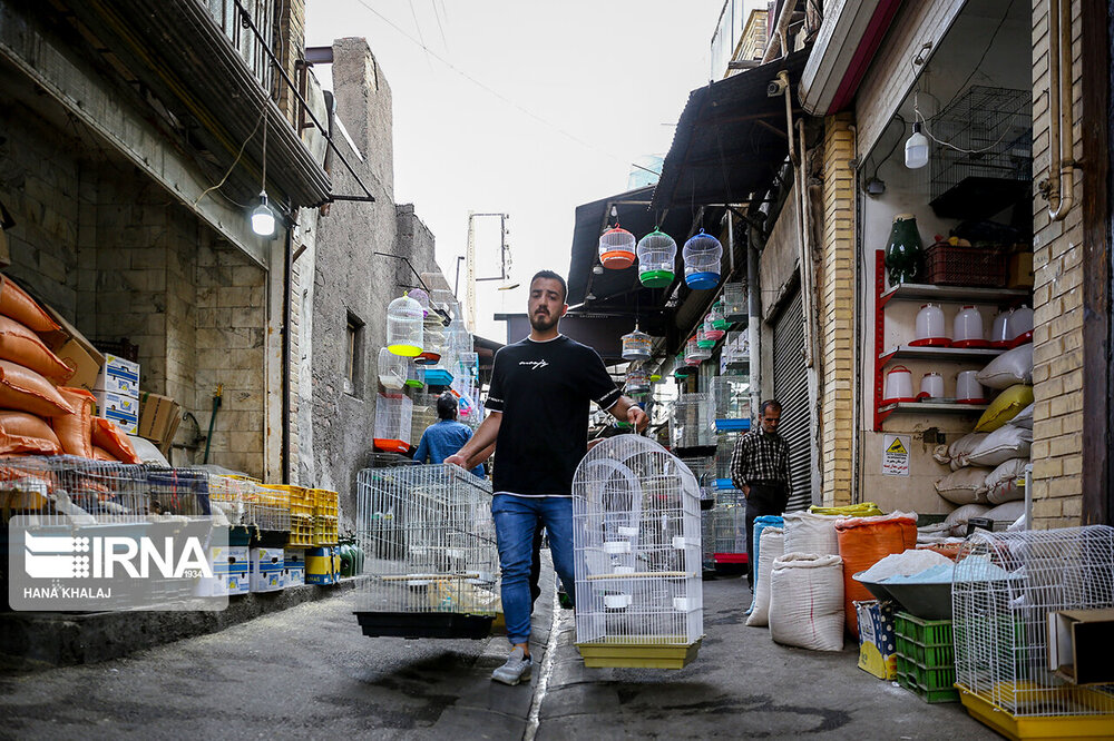 جنجال‌سازی عضو وزارت دفاع روسیه