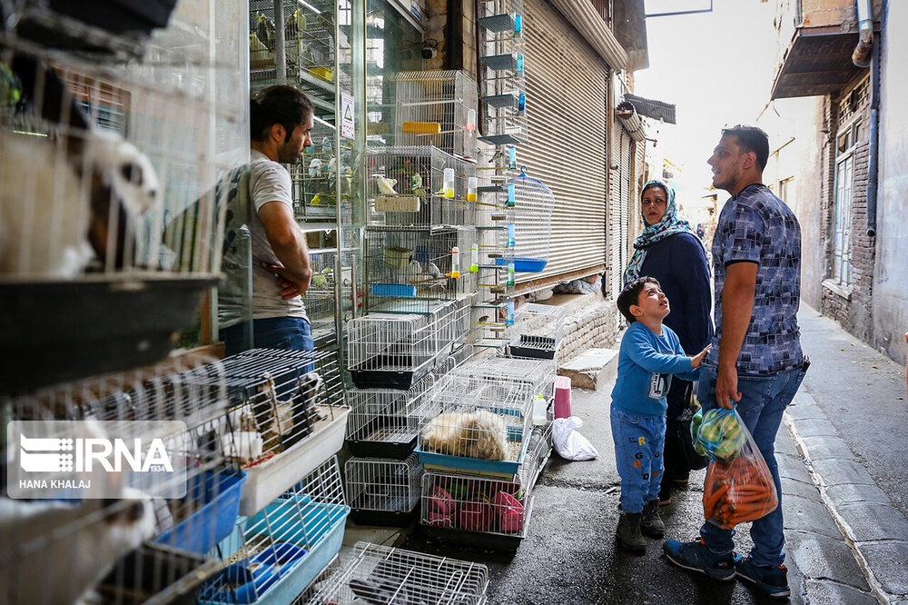 جنجال‌سازی عضو وزارت دفاع روسیه