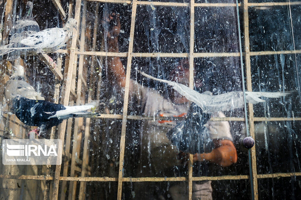 جنجال‌سازی عضو وزارت دفاع روسیه