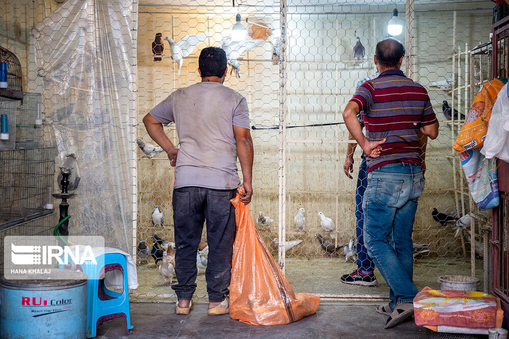 جنجال‌سازی عضو وزارت دفاع روسیه